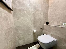 Amber Park (D15), Condominium #556155751